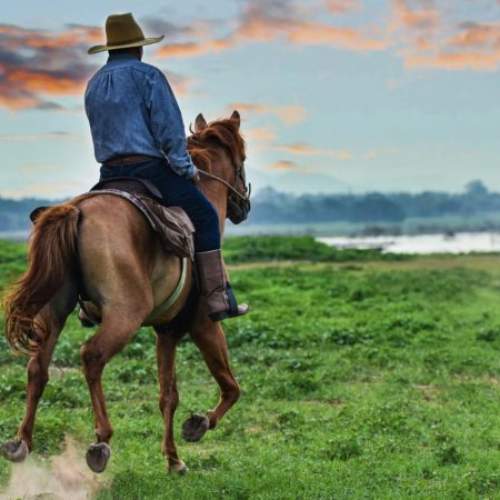 Cavalgada em trilhas de Monte Verde