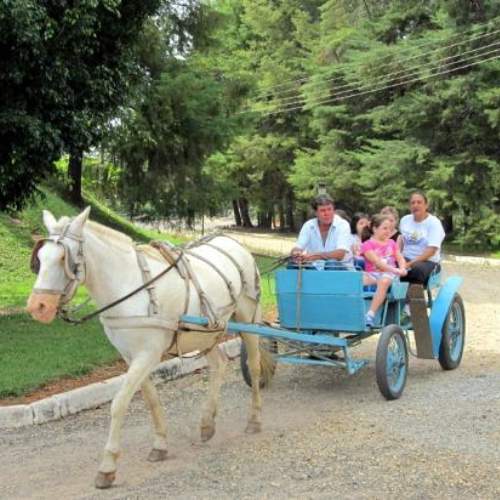 Passeio de charrete tradicional em Monte Verde
