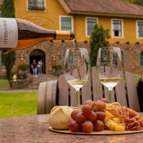 Grupo de amigos em rota de vinhos na Serra Gaúcha