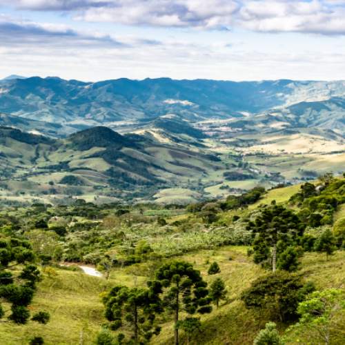 Paisagem de Monte Verde com clima frio e neblina