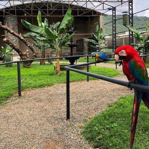 Família no Parque José Affonso Junqueira em Poços de Caldas.