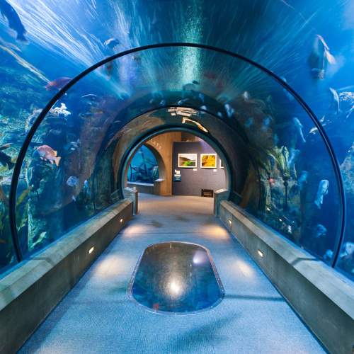 Oregon Coast Aquarium
