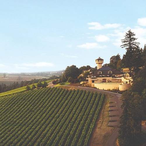 Tour pelas Vinícolas de Willamette Valley